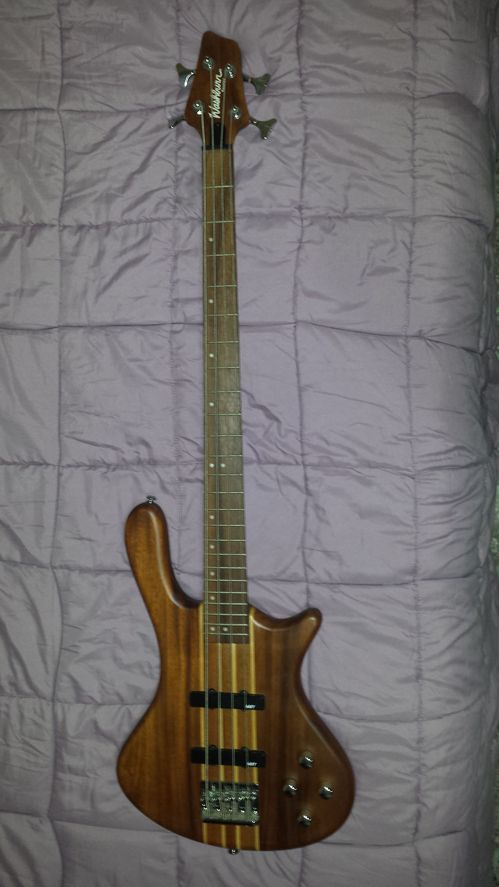 Bajo Washburn 1